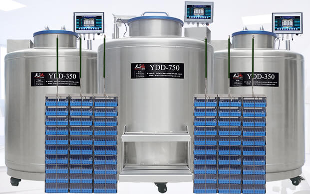 廣口液氮罐ydd儲存干細(xì)胞的方式