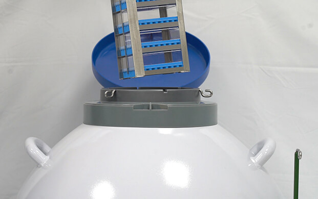 細(xì)菌可以凍在實(shí)驗(yàn)室液氮罐里嗎？